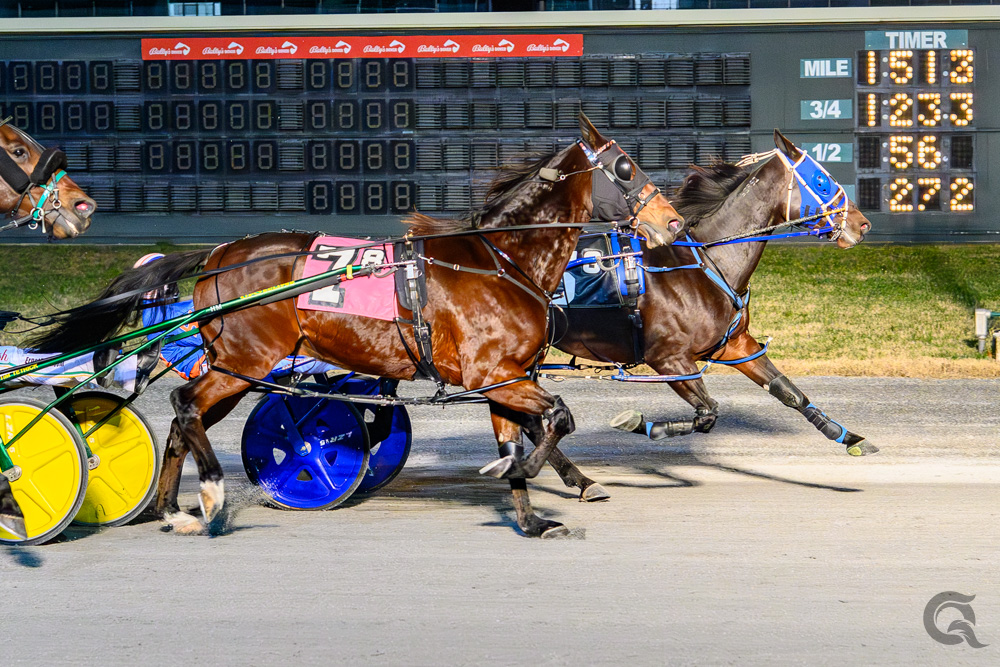 Pocket trip powers Downers Delight to Blue Hen Open win 1 Downers Delight