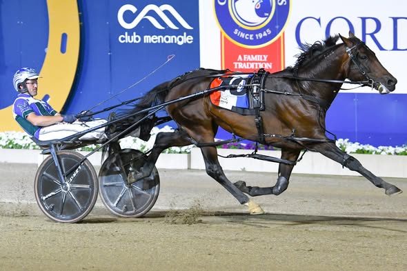 Don Hugo destroys them 1 Don Hugo (Club Menangle Photo)