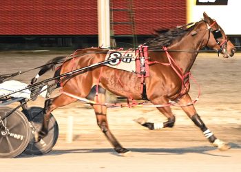 Spring Blake took his third straight Open-class event