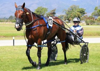 Team Telfer record breaker