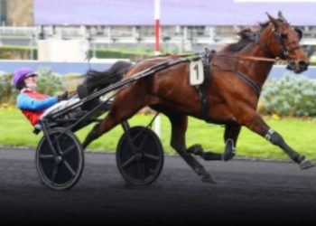 Eros Zola wins Prix Jean Boillereau