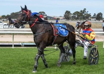 Jamie Egan’s success a story of patience and family devotion