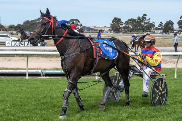 Jamie Egan’s success a story of patience and family devotion 1