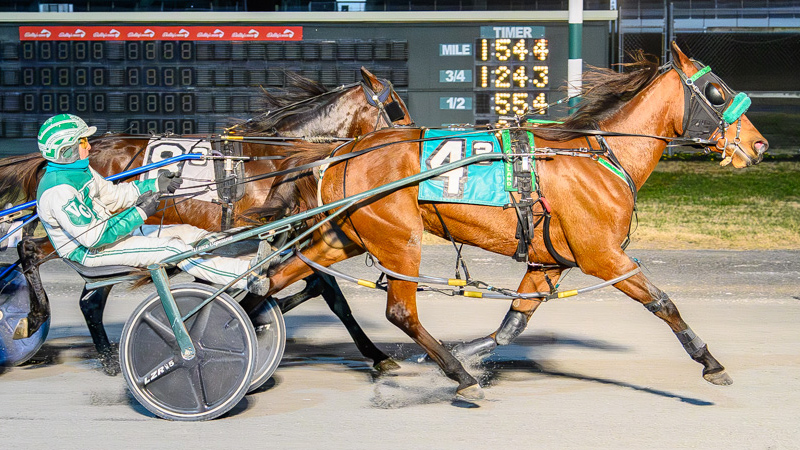 Git Goin sweeps DSBF Prelims 1