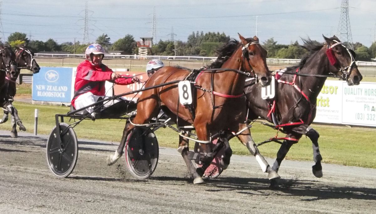 Ascot Park undercard 4
