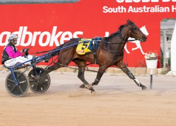 Hez So Royal, Hilltop Blossom claim 2YO Finals