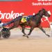 Hez So Royal, Hilltop Blossom claim 2YO Finals 2 Hez So Royal, Hilltop Blossom claim 2YO Finals