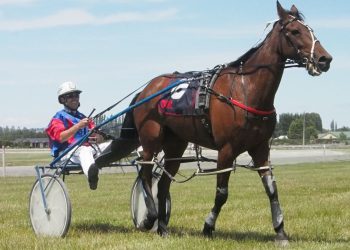 Eight year old mare wins her first race