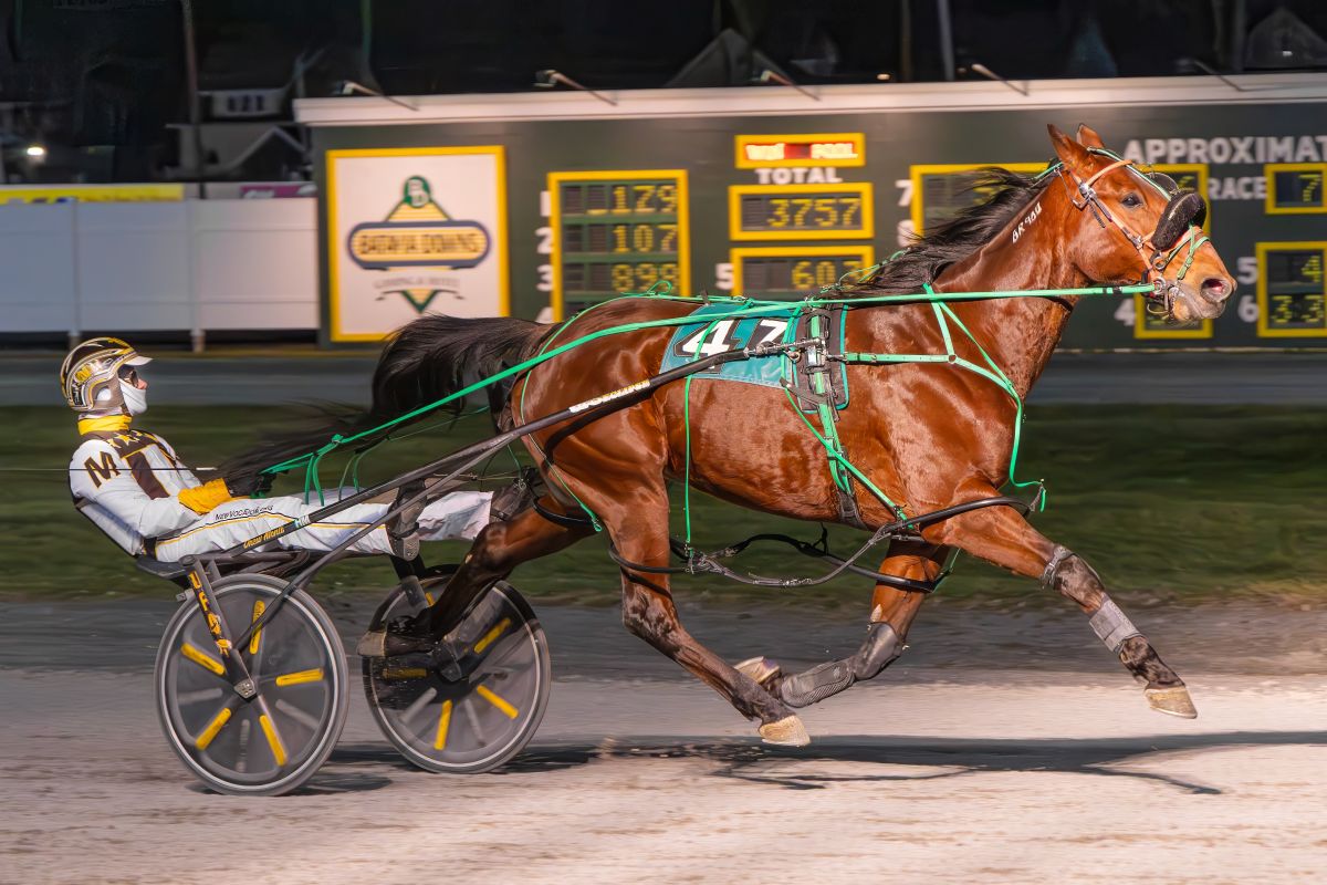 Hunter Hill winning at Batavia