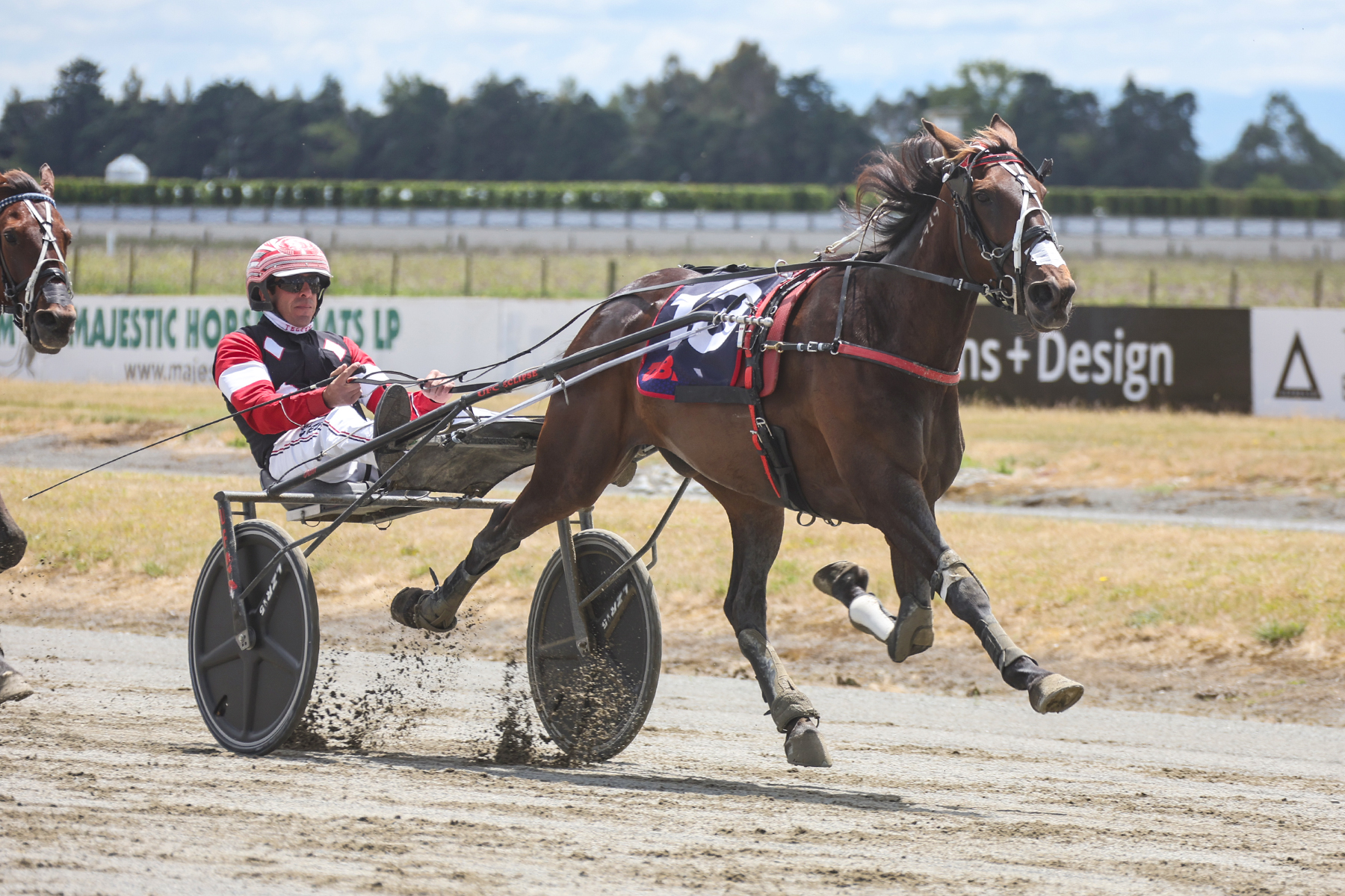 I Dream Of Jeannie heading for home (Race Images Photo)