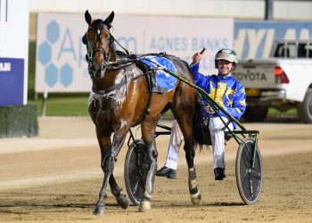 Hewitt aims double barrel at Summer of Glory