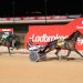 Idealogy wins for South Australia in Parker Trotters Classic 4 Idealogy wins for South Australia in Parker Trotters Classic