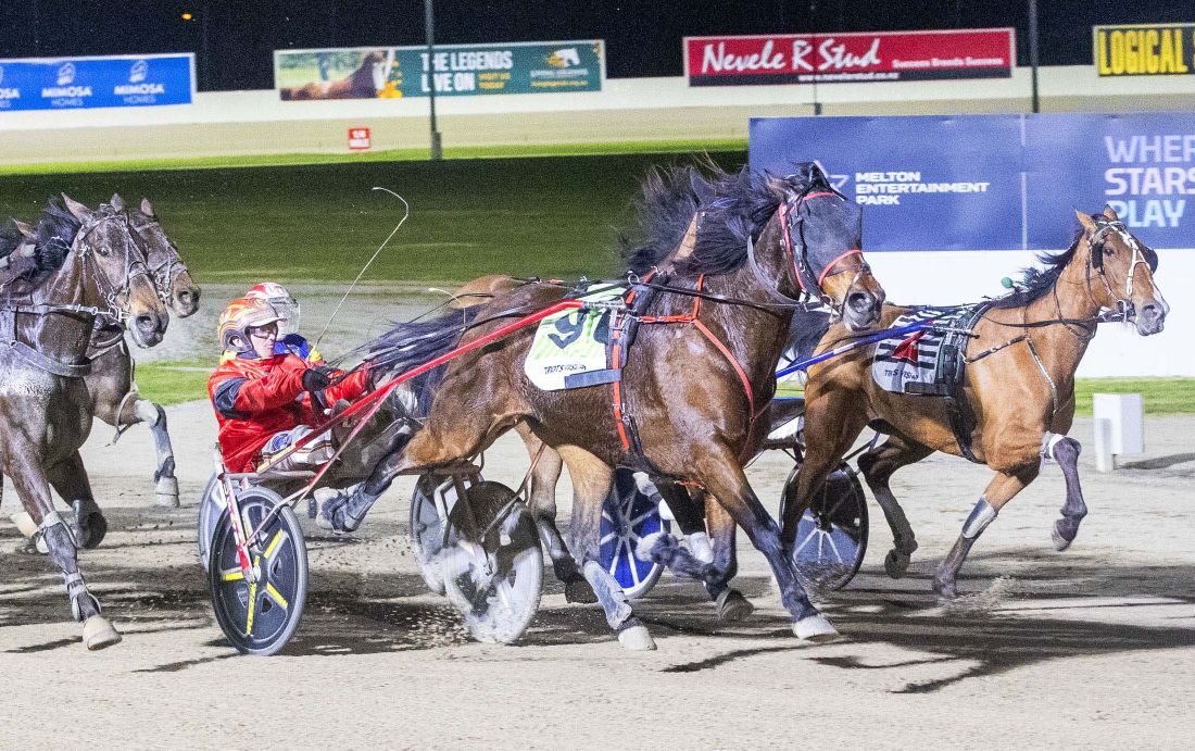 Im Bobby shows class with resounding win 1 Im Bobby Photo by Stuart McCormick