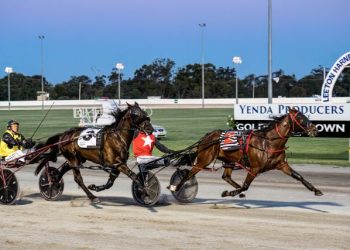 Im No Trouble leads all the way in Leeton Breeders Plate