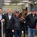 Mielicki enjoying ownership success with in-form trotter Imperial Command