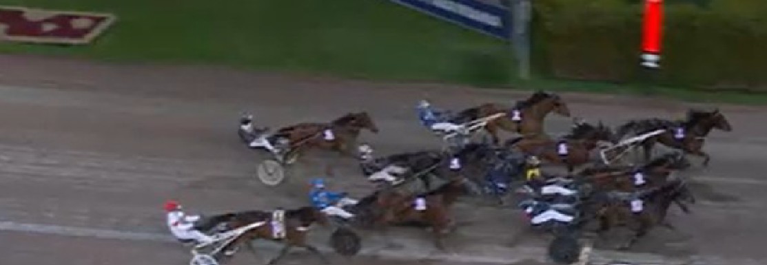 Clarissa takes STL Gold at Solvalla 2