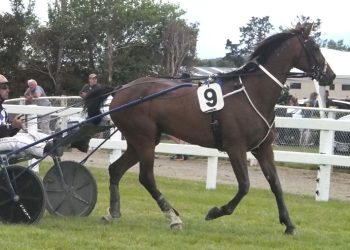 Jimmy upsets in Gore trotting feature