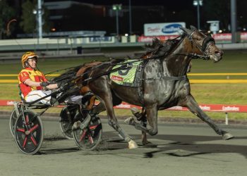 Brilliant Volstead mare aiming for more Queensland glory