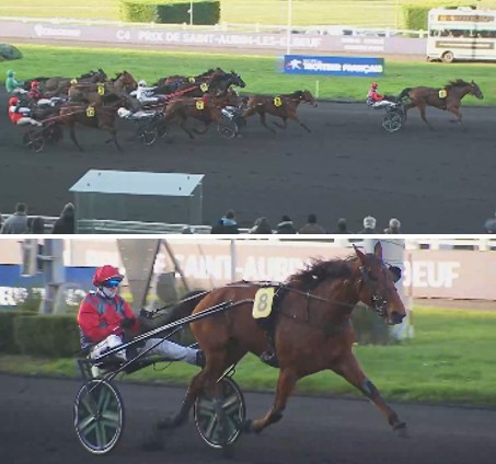Golden Gio dominates Prix de Chateau Chinon 2 Koufra Iris’eyes