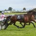 Methven debut win revives Williams’ faith in Lauzelle
