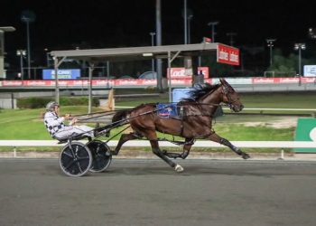 Leap To Fame (The Creek Photo)