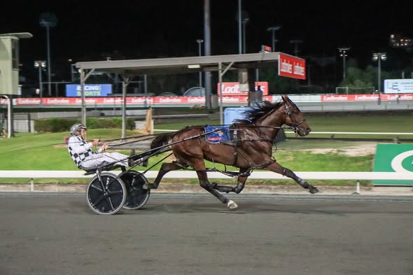 Leap To Fame (The Creek Photo)