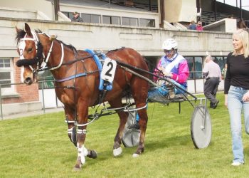 Stratford has seven in for home meeting