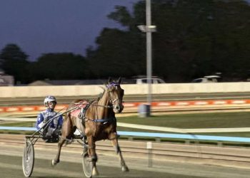Loyal Lou demolishes his opponents in Inter City Pace