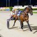 Lewis siblings share Luv of harness racing