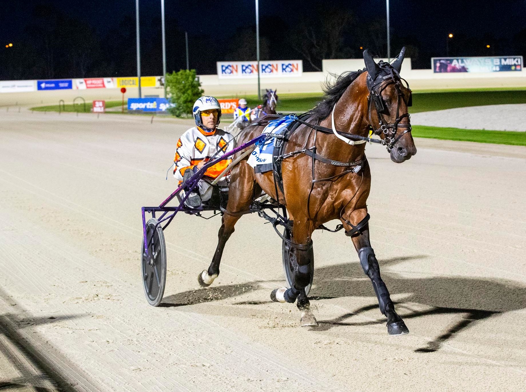 Lewis siblings share Luv of harness racing 1