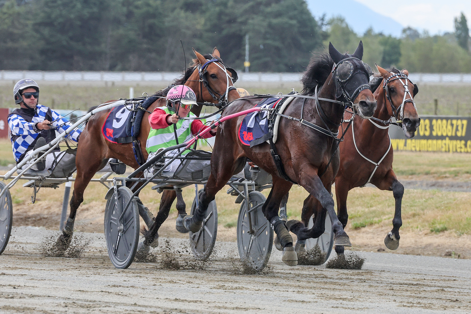 Green gets 400 with Mor Moonlight 1