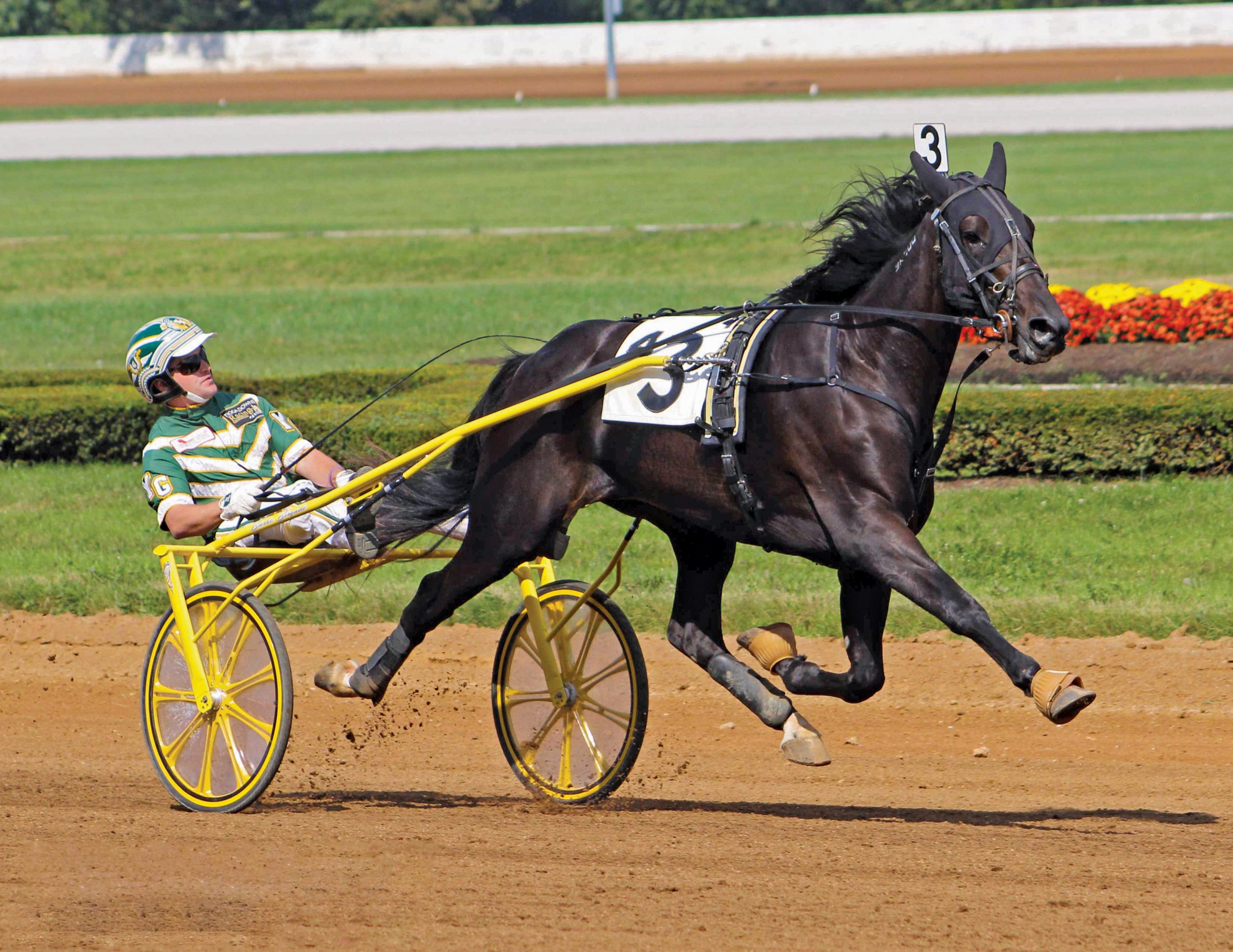 Weaver-Bruscemi and Burke Dominate Dan Patch Breeder Awards 3
