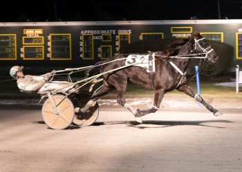 Mr-Cool-Seaeyre Joe Chindano Jr. gets 1,000th driving win