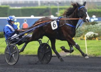 Nob Hill takes Prix Emmanuel Margouty