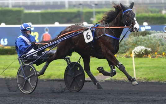 Nob Hill takes Prix Emmanuel Margouty