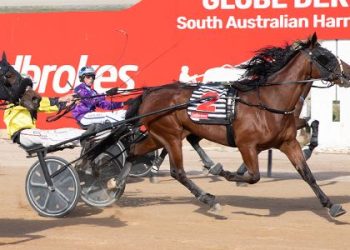 Omnia wins Southern Cross Trotters Final