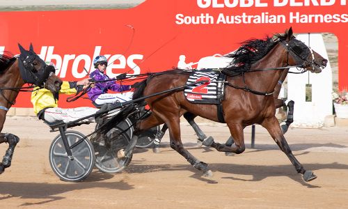 Omnia wins Southern Cross (Walter Bulyga Photo)