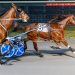 Primo Maschio caps DSBF sweep with tough win 2 Primo Maschio proved steadfast under sustained pressure to win the $110,000 DSBF series championship