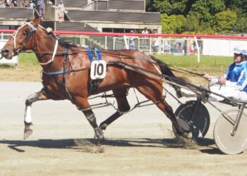 Pinseeker looking to start new season on high