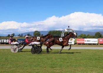 Premium Player poised for unique West Coast clean sweep