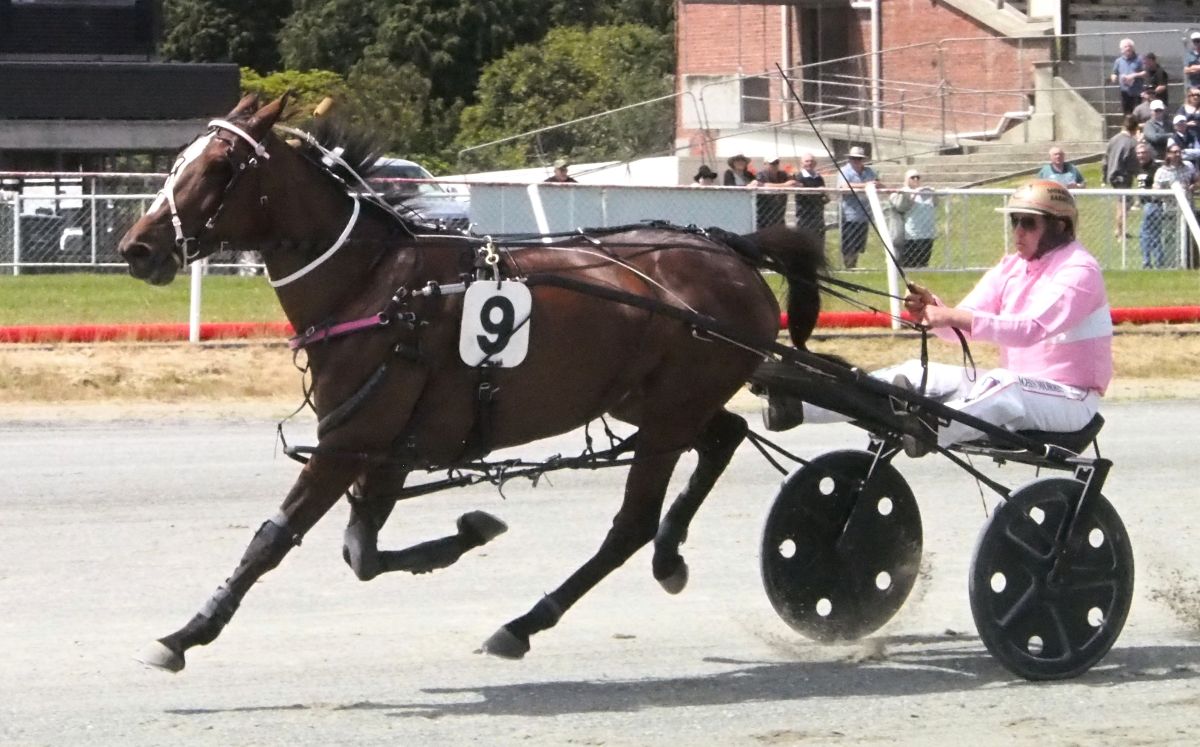 Heaven’s Mark is Morrison’s top pick for Roxburgh 1