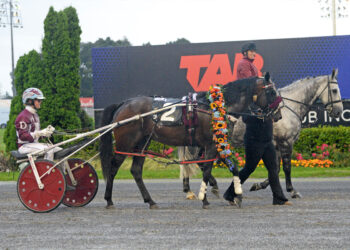 Republican Party so brave in 2025 Auckland Cup