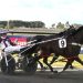 Republican Party runs fastest Invercargill Cup