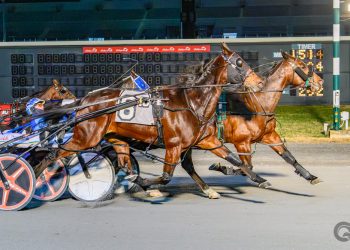 Steven’s Saloon delivers $19 upset