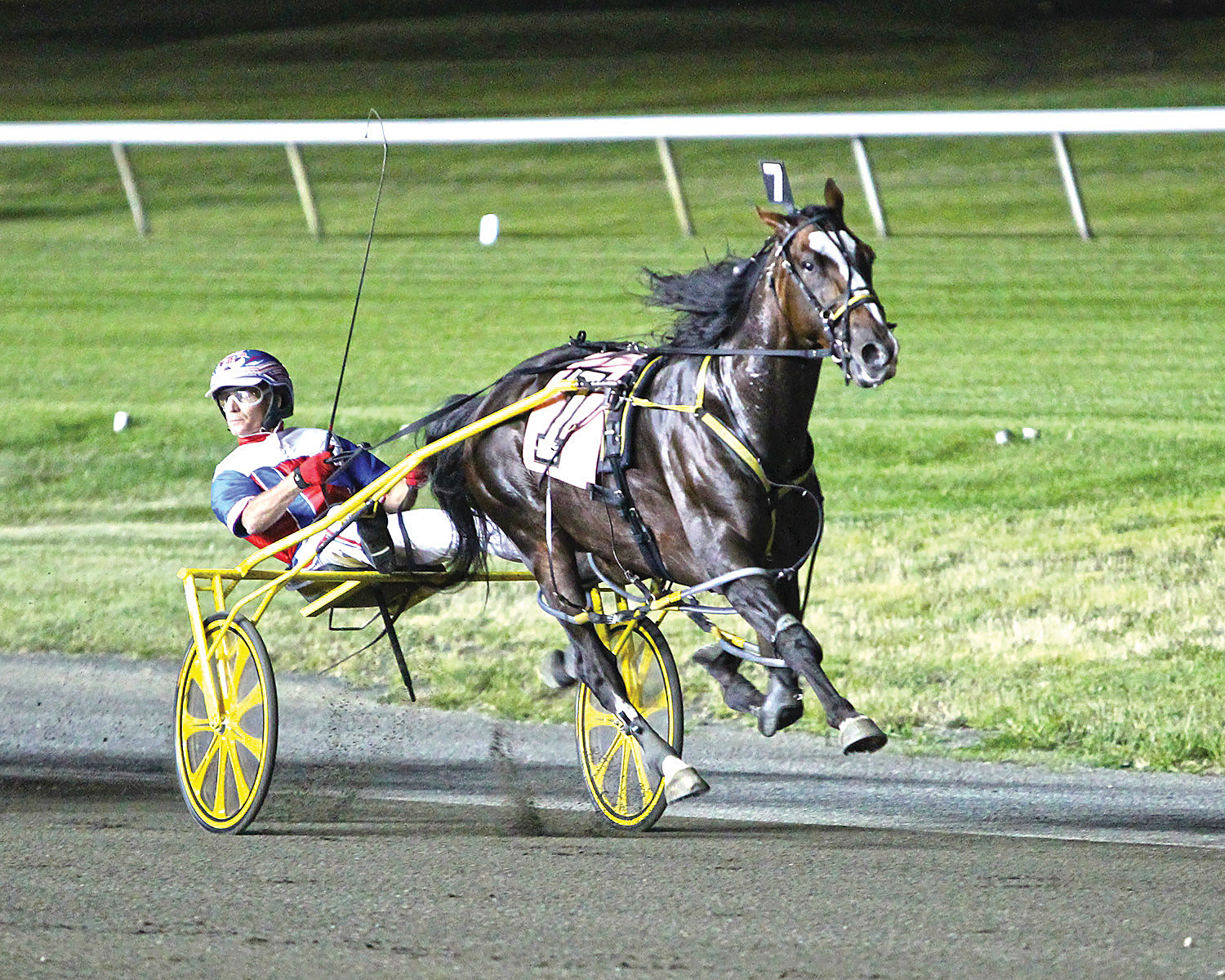 Weaver-Bruscemi and Burke Dominate Dan Patch Breeder Awards 2