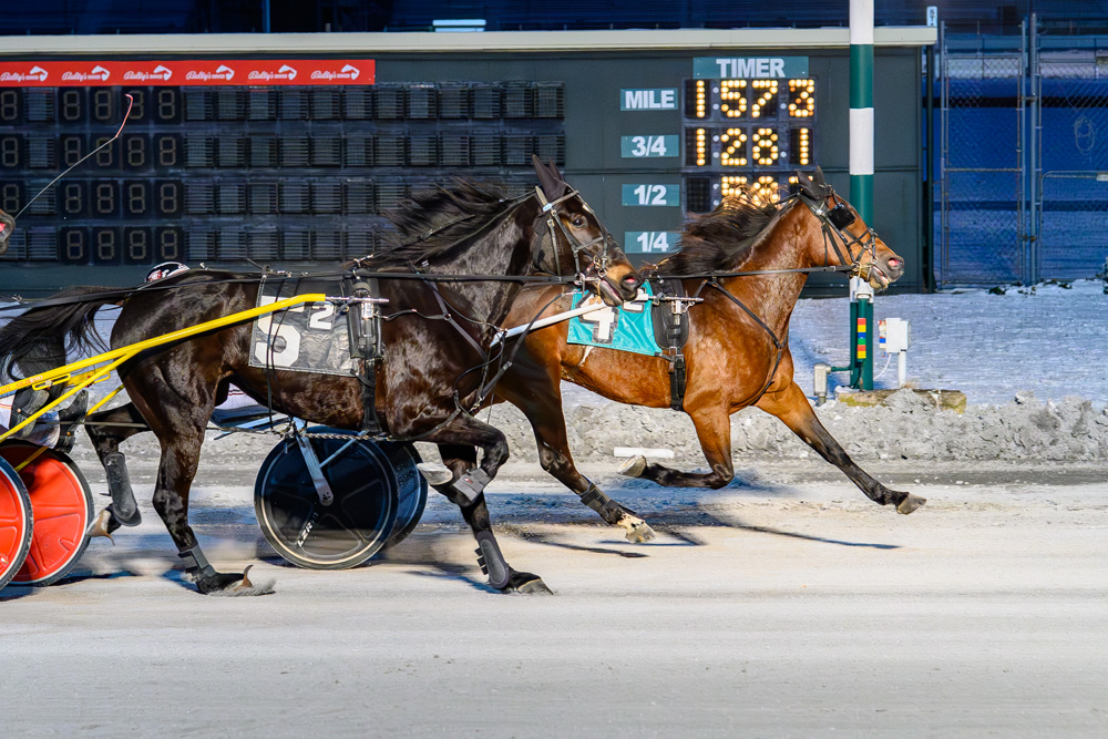 Take It Easy upsets in $110,000 DSBF Trotting final 1 Take It Easy