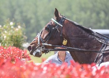 He’s just having that Effect