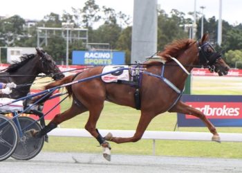 Strong start for Tetrick in NZ trial debut