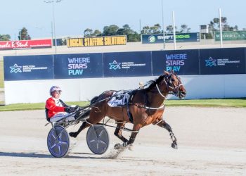 Triple Rock Saint too strong in Gordon Rothacker Championship