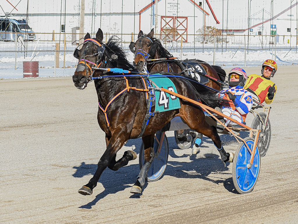 Jax Spratt (Aaron Hall) looks for his second Prancer leg victory on Saturday at Cumberland.  (Joe Shaw photo)